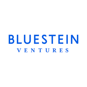 BLUESTEIN VENTURES